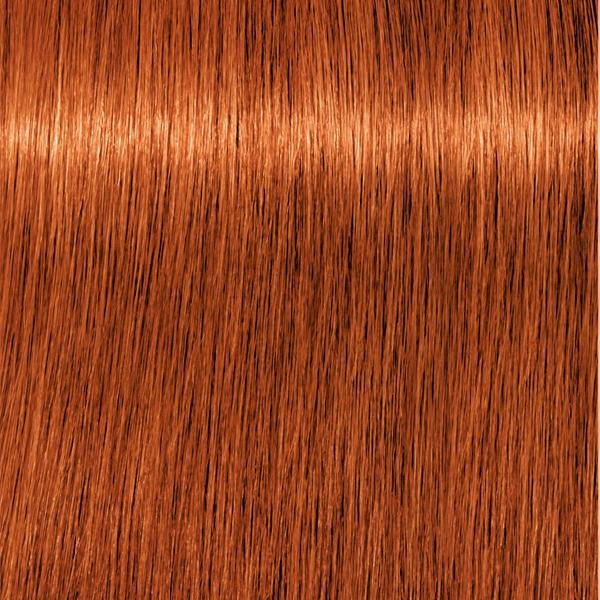 Igora Royal 7-77