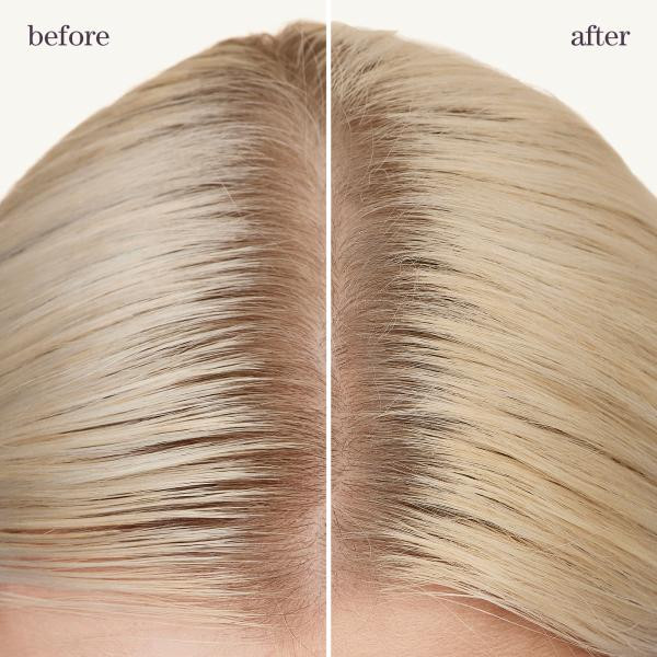 Refresh & Go - Dry Shampoo 5.3oz