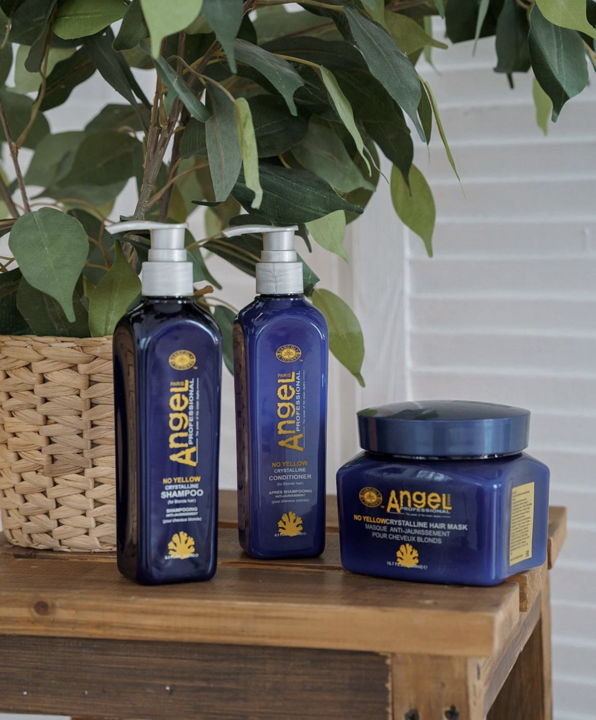 Angel No-Yellow Shampoo & Conditioner Duo Gift Set - 500ml Each