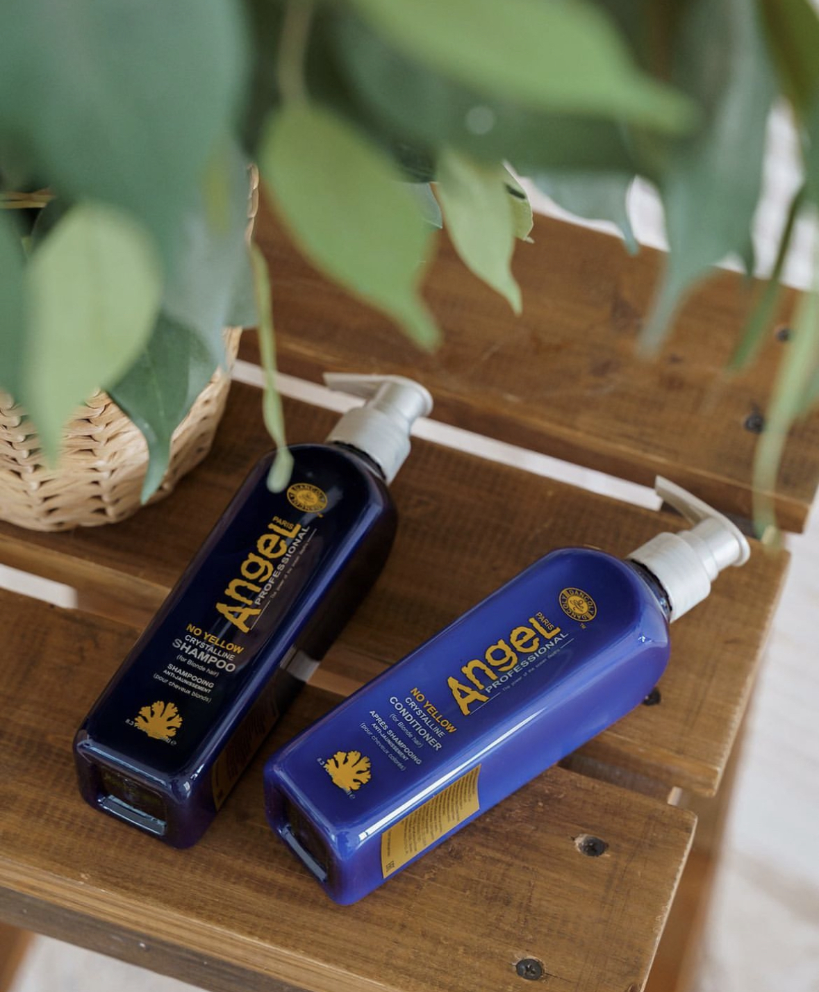 Angel No-Yellow Shampoo & Conditioner Duo Gift Set - 500ml Each